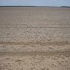 farm_december 06 068
