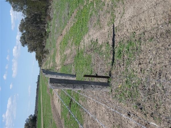 Farm Aug 2007 091