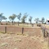 Farm April 09 189