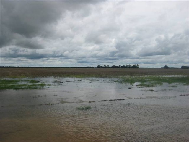 floods_Dec_2010_333