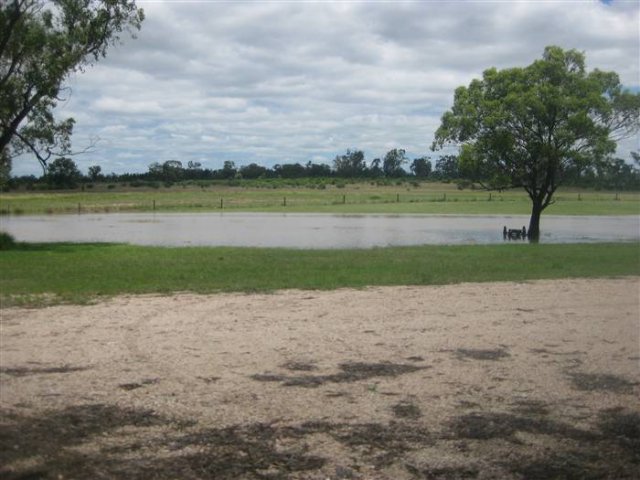 floods_Dec_2010_374