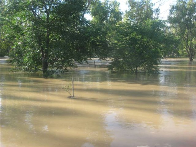 floods_Dec_2010_542