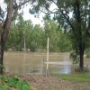 floods_Dec_2010_365