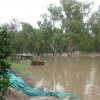 floods_Dec_2010_385