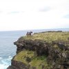 Easter Island  548