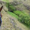 Easter Island  632