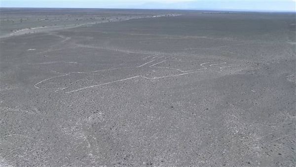 Nasca 444