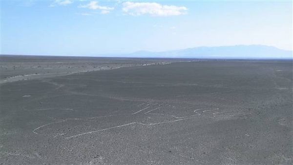 Nasca 449