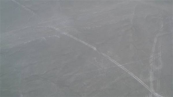 Nasca 481