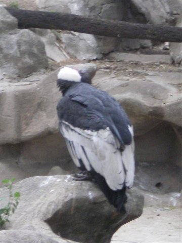 Cordoba_1426