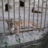Cordoba_1421