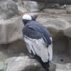 Cordoba_1426