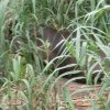 Cordoba_1457